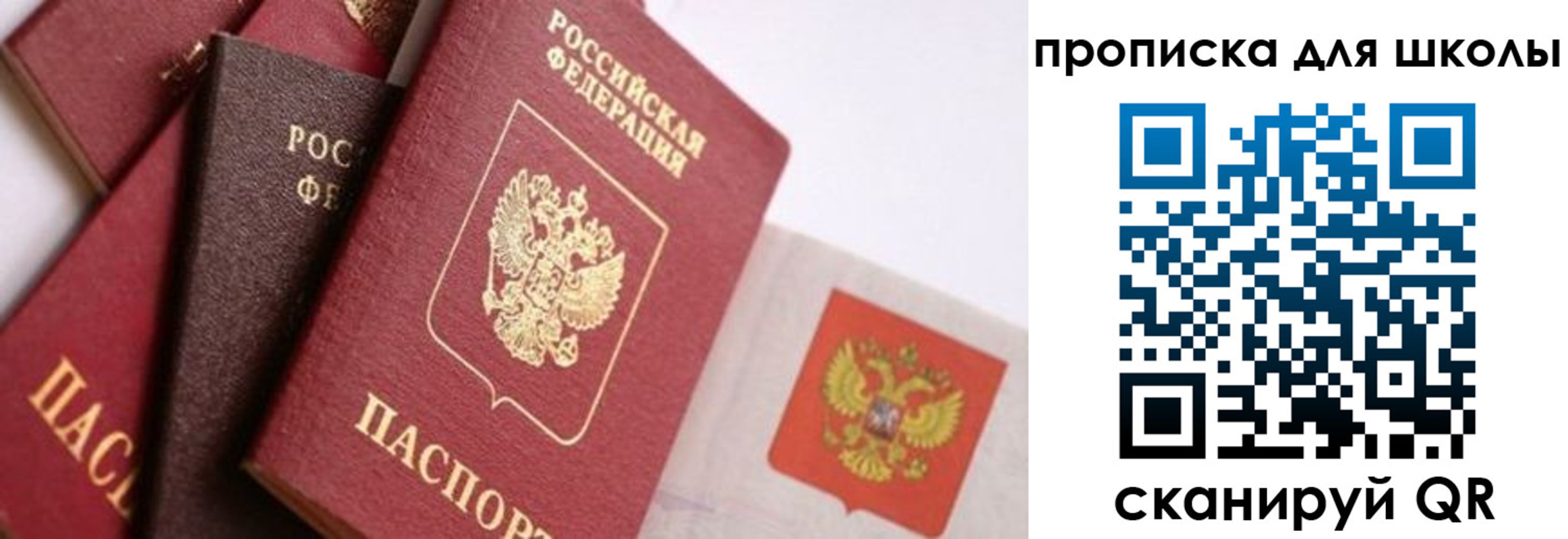 прописка поиск в Александрове