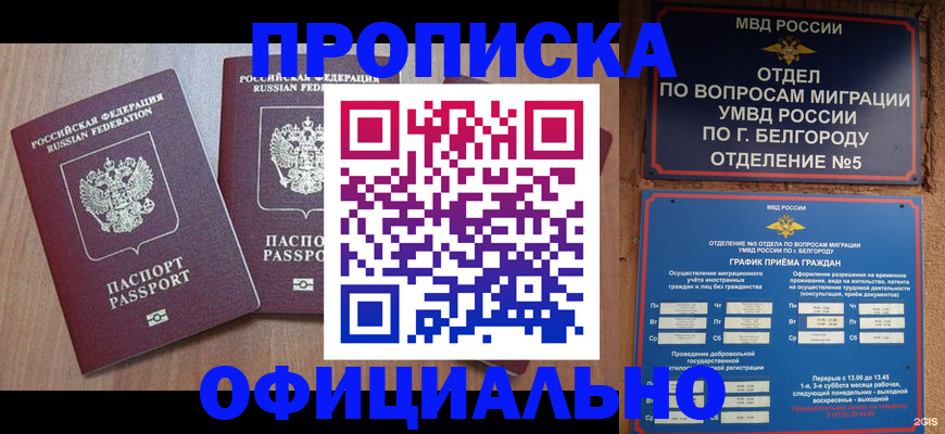 найти адрес прописки в Александрове