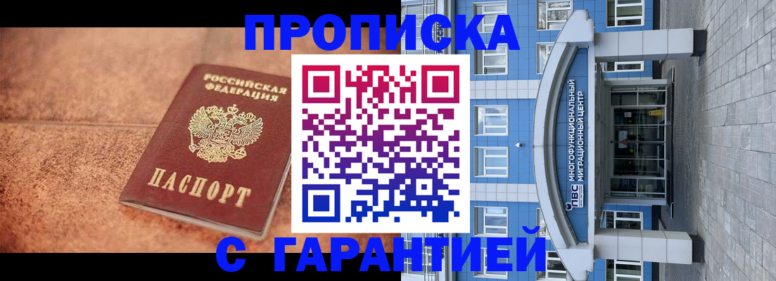 где прописаться в Александрове